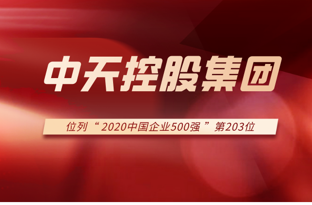 尊龙凯时集团列2020中国企业500强第203位！